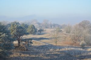 Czarnowska Górka Fot. O. Betańska