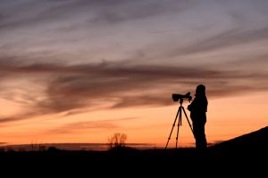 Monitoring ptaków Fot. O. Betańska