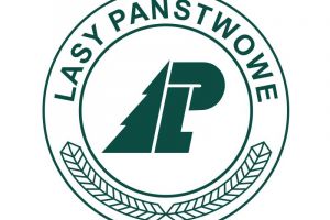 Logo Lasów Państwowych