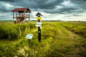 Ścieżka spacerowa "Torfianka" Fot. Archiwum CKPŚ