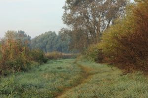 Ścieżka "Mokradła" latem, fot. Olga Betańska