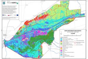 Mapa roślinności rzeczywistej, wykonana w ramach projektu "Teledetekcja w Ujściu Warty"