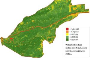 Mapa wskaźnika kondycji roślinności (NDVI), dane pozyskane w czerwcu 2020 r.