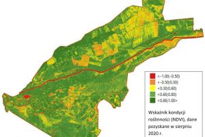 Mapa wskaźnika kondycji roślinności (NDVI), dane pozyskane w sierpniu 2020 r.