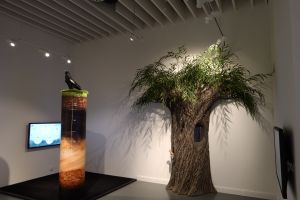 ,,Ujście Warty” National Park Visitor Centre - exhibition Fot. Hanna Mierzwa