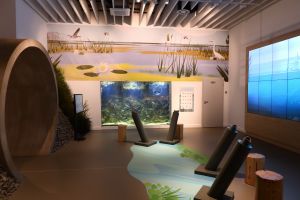 ,,Ujście Warty” National Park Visitor Centre - exhibition Fot. Hanna Mierzwa